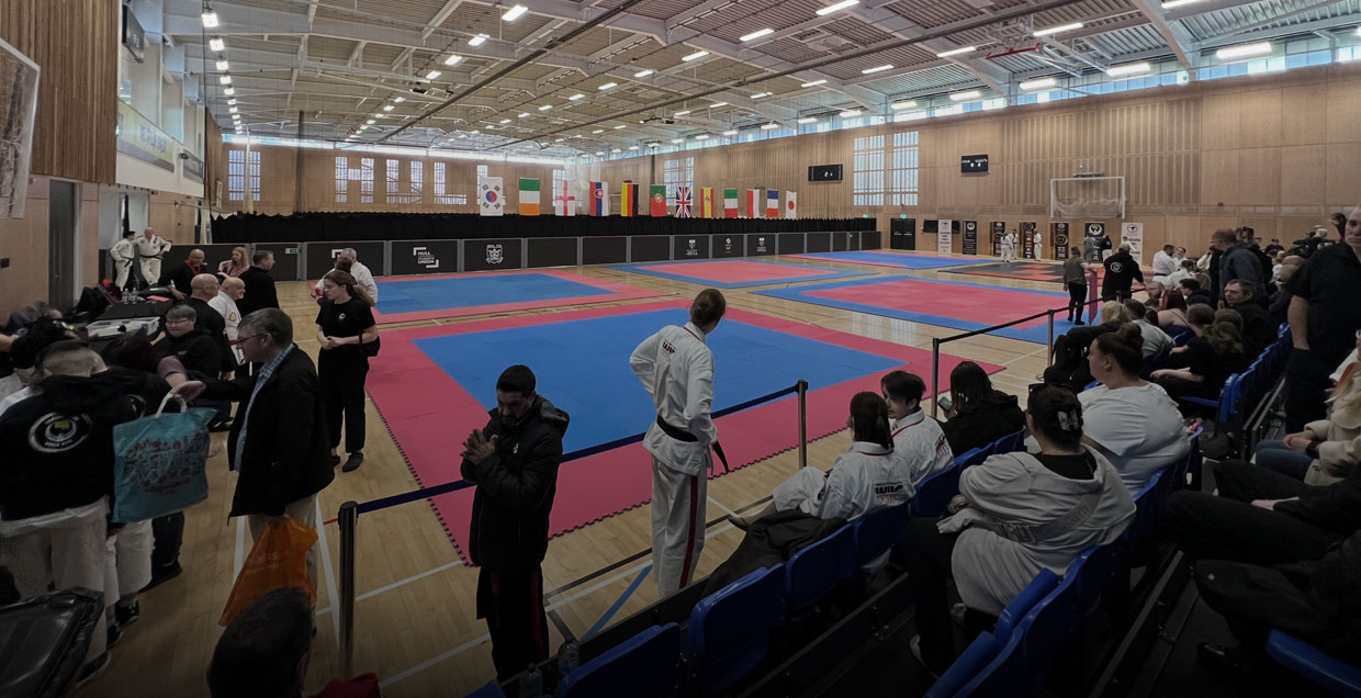 INTERNATIONAL MARTIAL ARTS SEMINAR – HULL, ENGLAND INTERNATIONAL MARTIAL ARTS SEMINAR – HULL, ENGLAND
