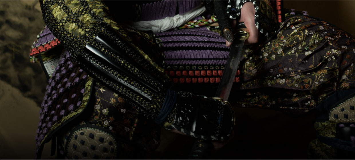 THE CHAIN OF TWELVE RINGS